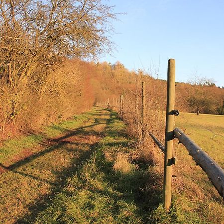 Ferienwohnung Klimek Michelstadt Zewnętrze zdjęcie