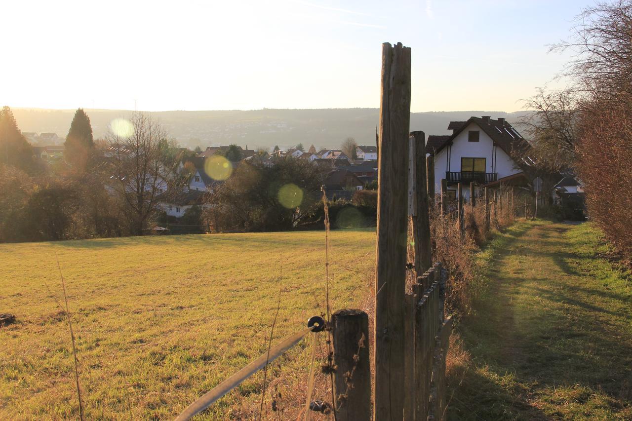Ferienwohnung Klimek Michelstadt Zewnętrze zdjęcie